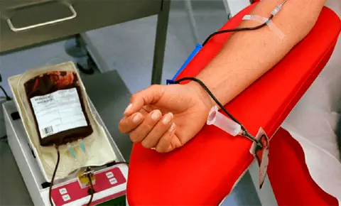 Hemocentro Nacional buscará elevar la donación voluntaria de sangre a un 8 % en 2024